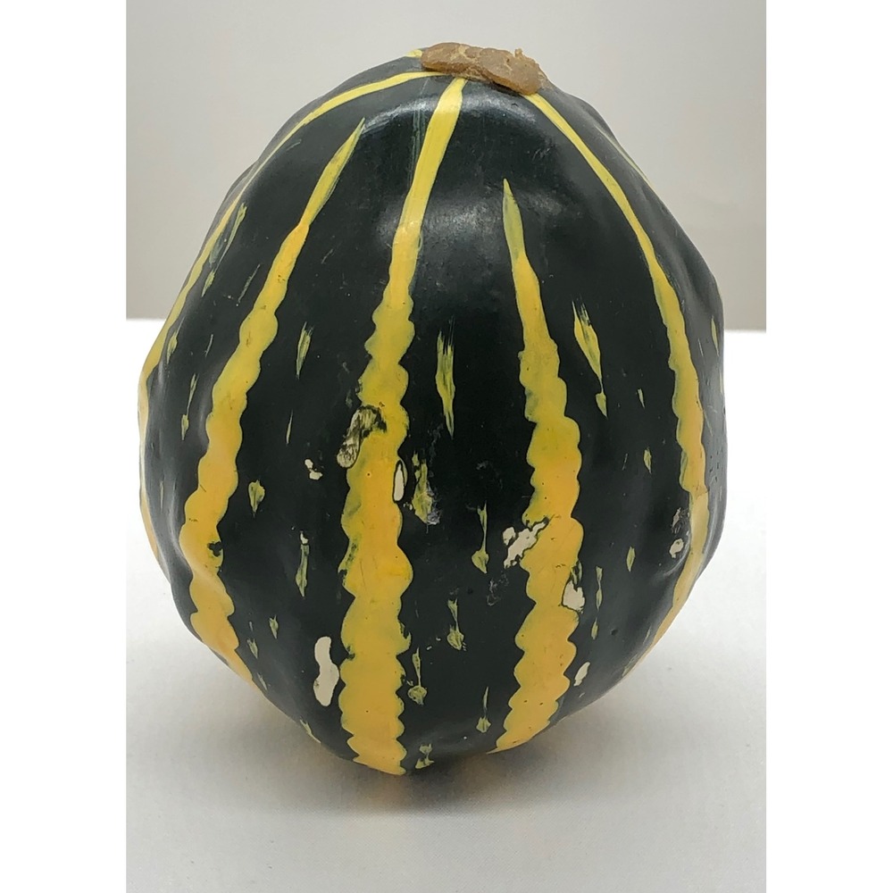 Remo Veggie Shake Hand Percussion Gourd Style Shaker Green Yellow Striped - Picture 6 of 11